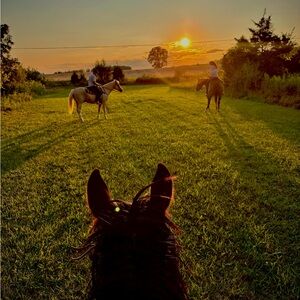 Meet your Posher, Lāna